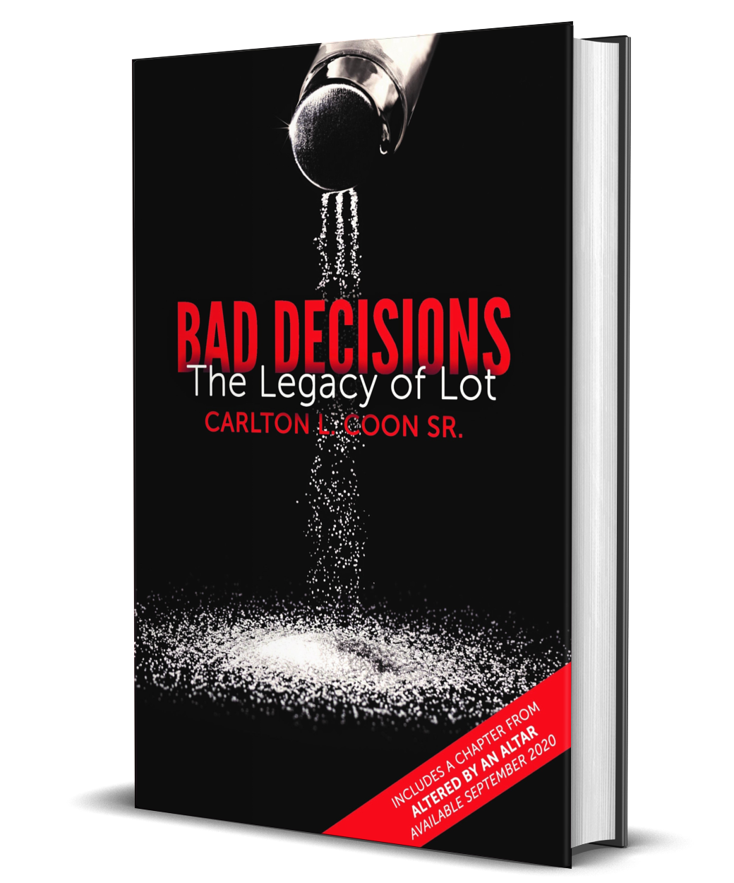 Bad Decisions - The Legacy of Lot - Leader's Guide (EBook)