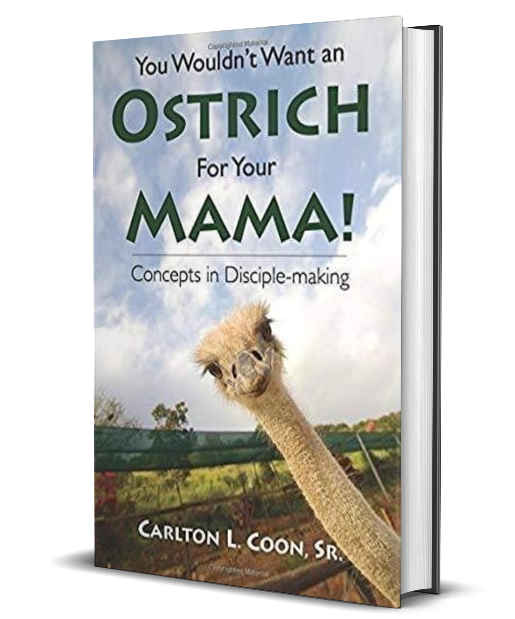 You Wouldn't Want an Ostrich for Your Mama! (EBook) - Christian Church Growth