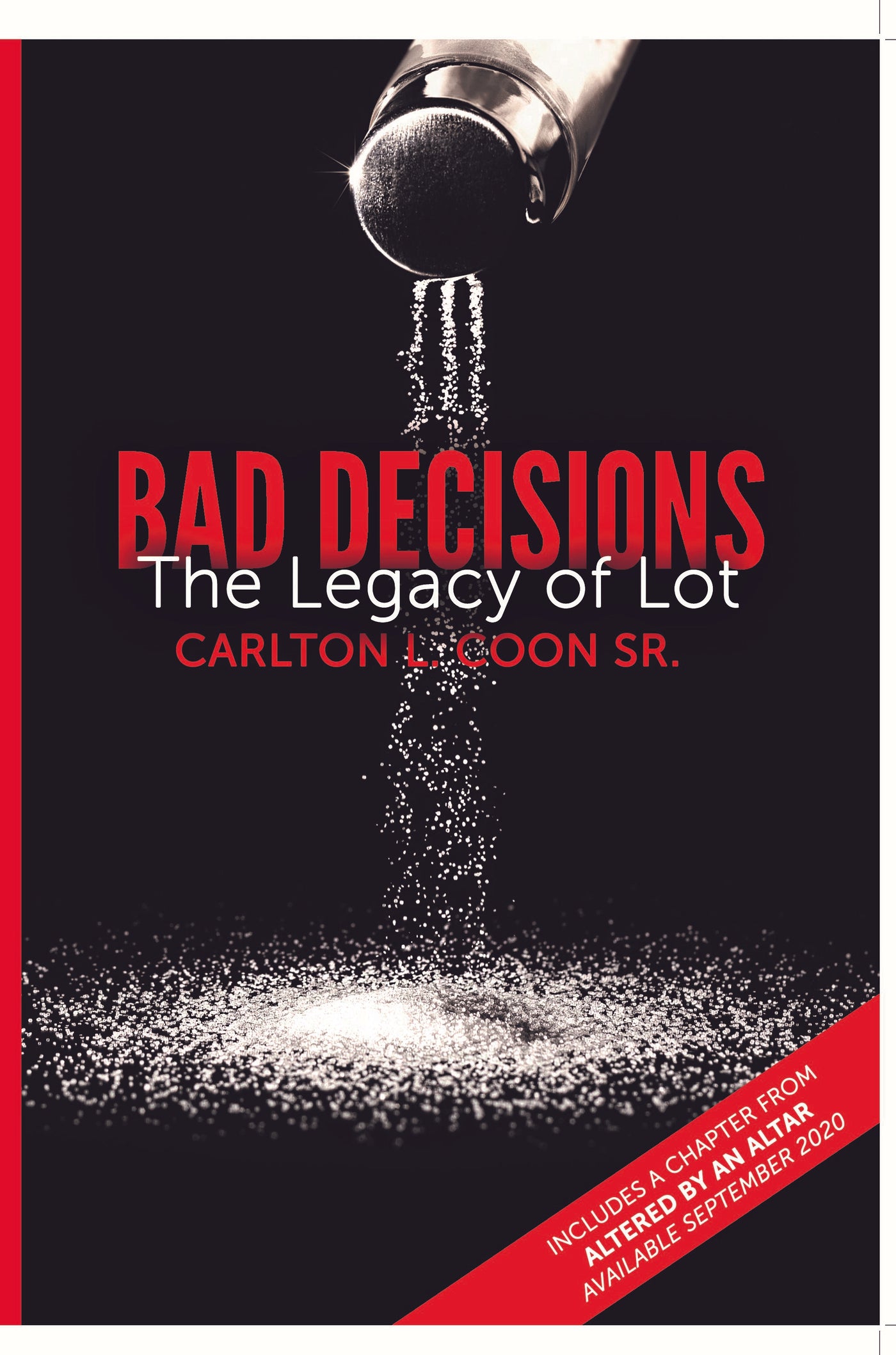 Bad Decisions - The Legacy of Lot - Leader's Guide